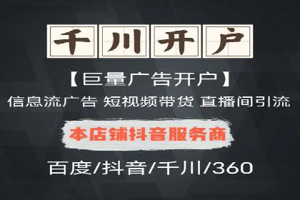 某电商平台信息流广告的精准推广策略